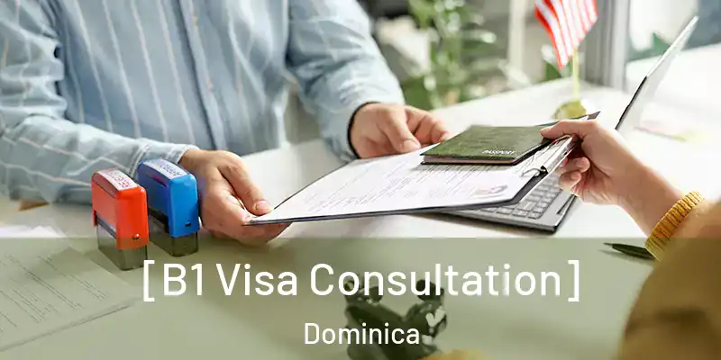  [B1 Visa Consultation] Dominica