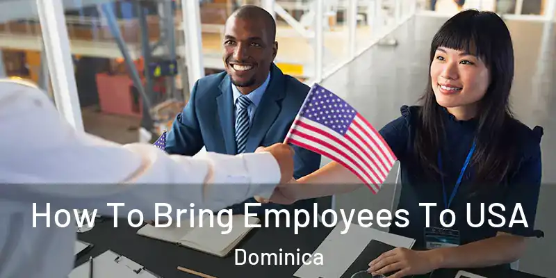  How To Bring Employees To USA Dominica
