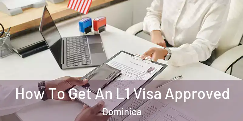  How To Get An L1 Visa Approved Dominica