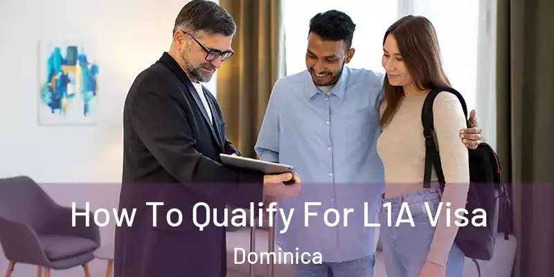  How To Qualify For L1A Visa Dominica
