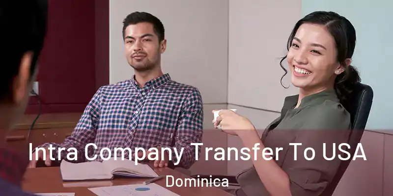 Intra Company Transfer To USA Dominica