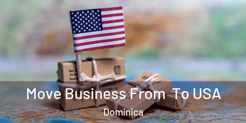  Move Business From To USA Dominica