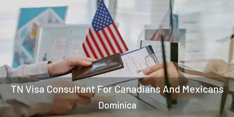  TN Visa Consultant For Canadians And Mexicans Dominica